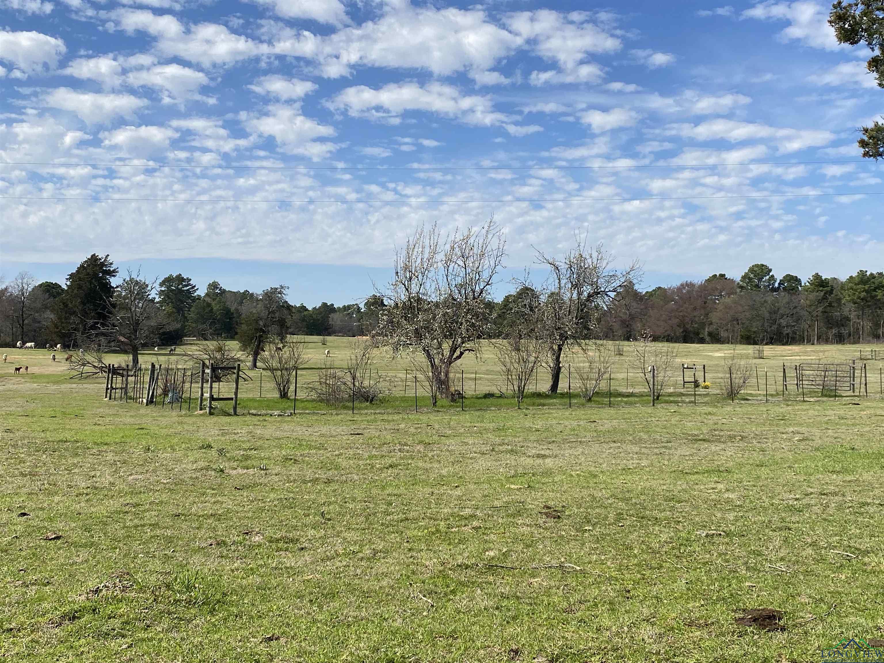 TBD Fm 2454, Gilmer, Texas image 19