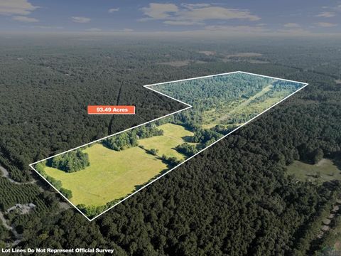 Vacant Land For Sale - 0000 Nash Road<br/> Harleton, TX 75651
