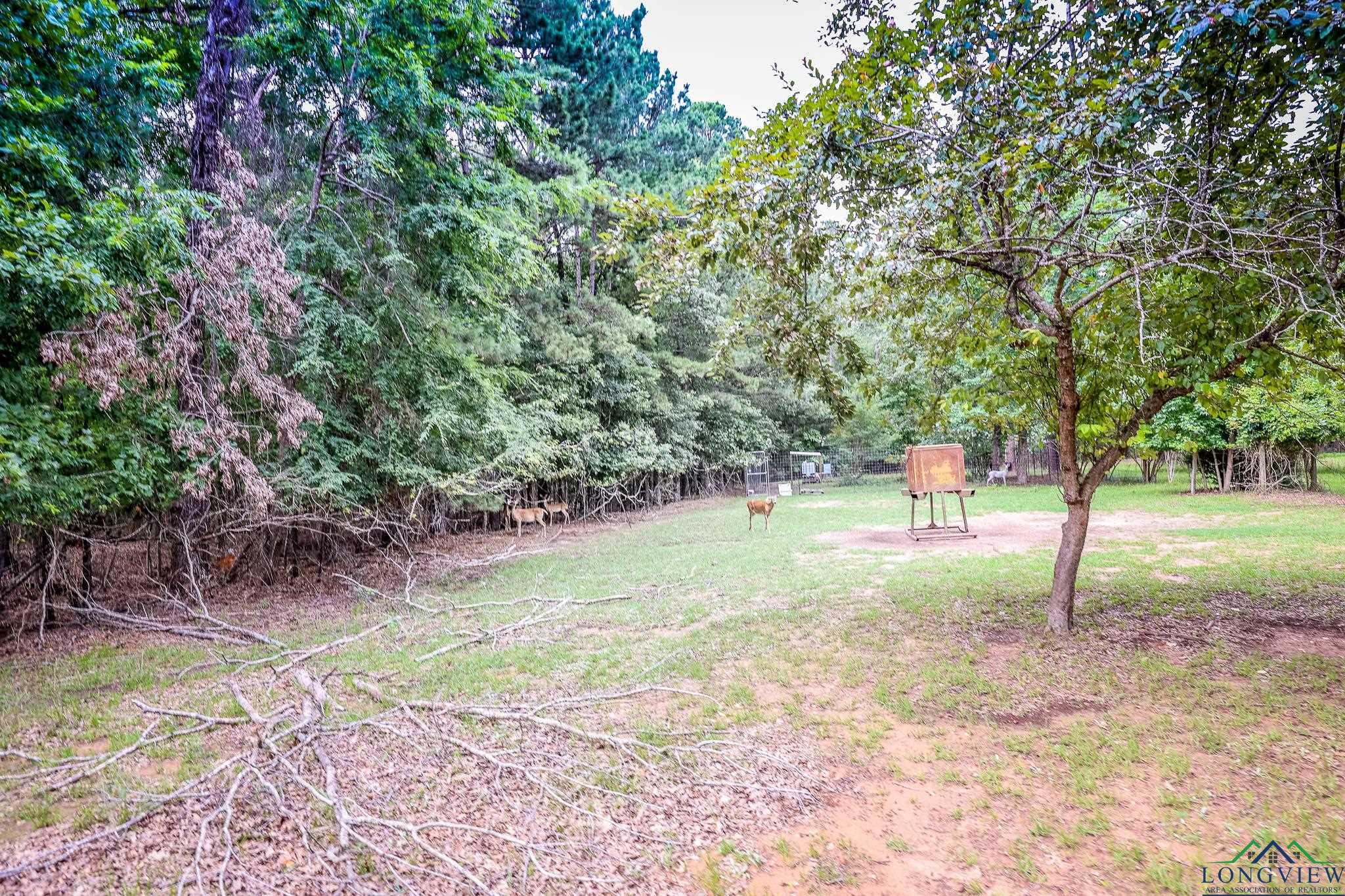 2188 Harkins Ln, Marshall, Texas image 3