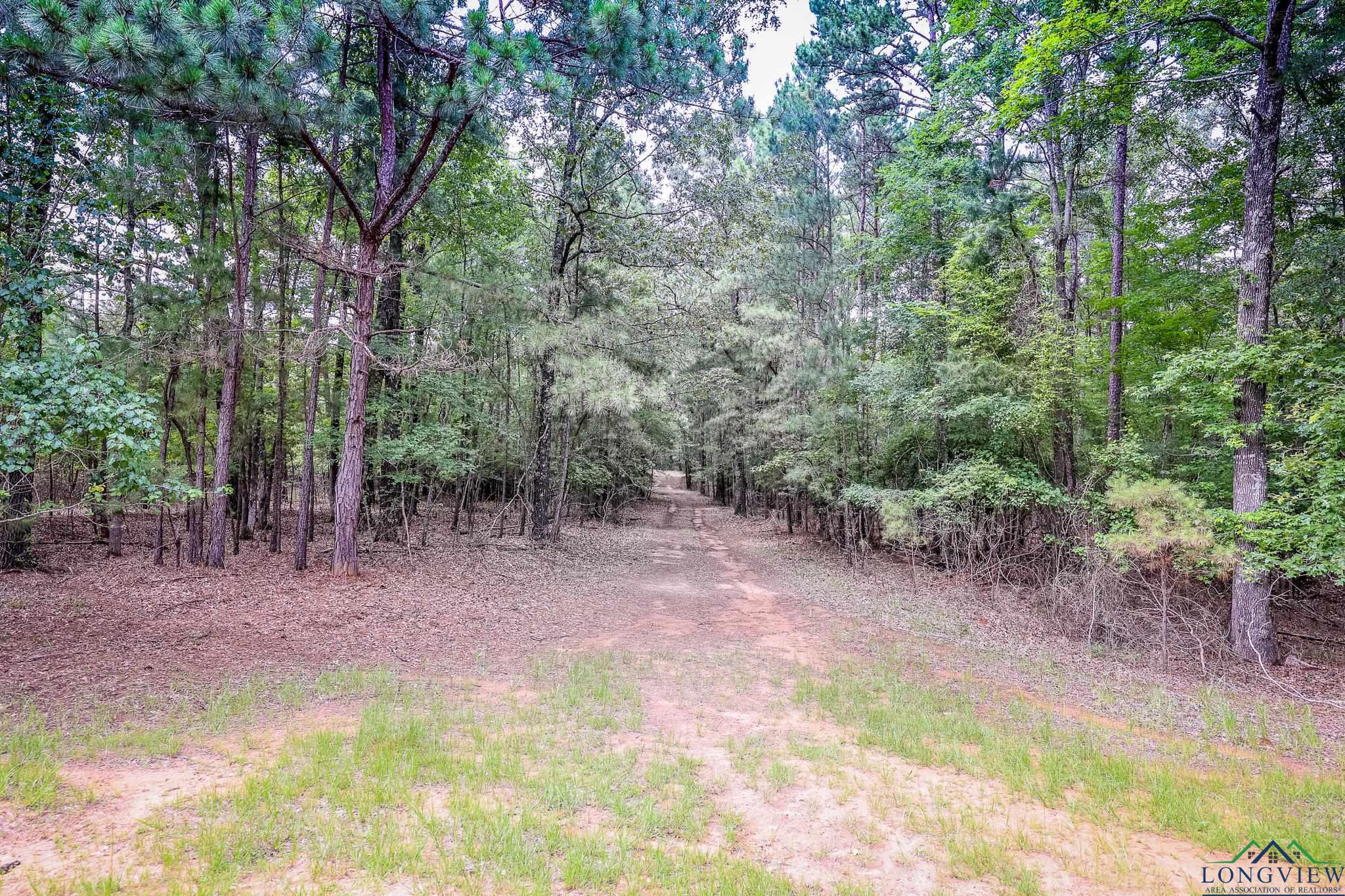 2188 Harkins Ln, Marshall, Texas image 2