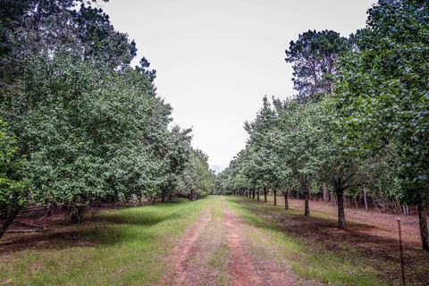 Vacant Land For Sale - 2188 Harkins Ln<br/> Harrison County, Marshall, TX 75672
