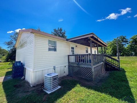 A home in McLeod