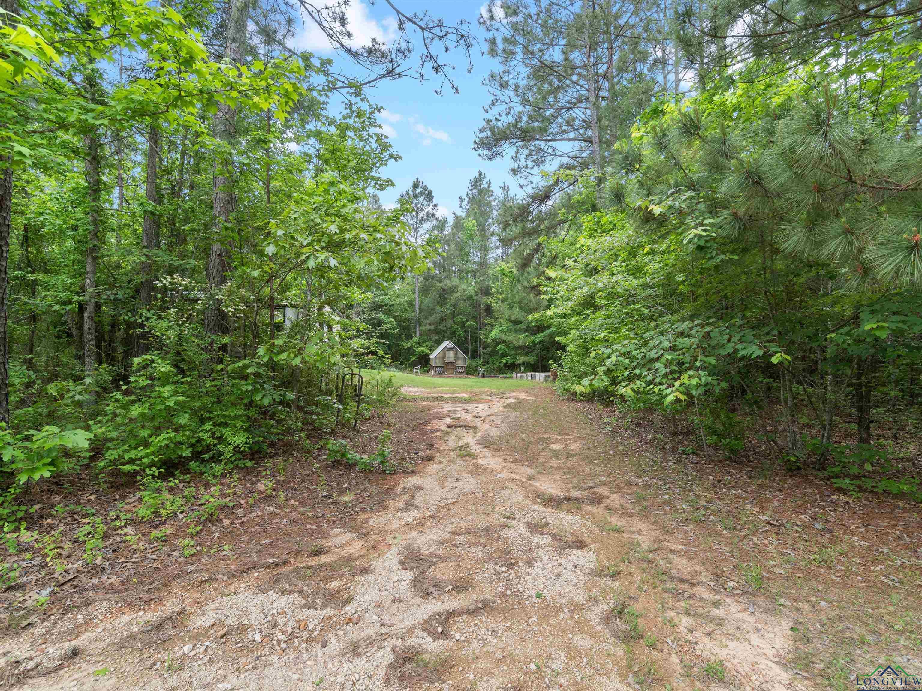 9044 Aster Rd, Gilmer, Texas image 30