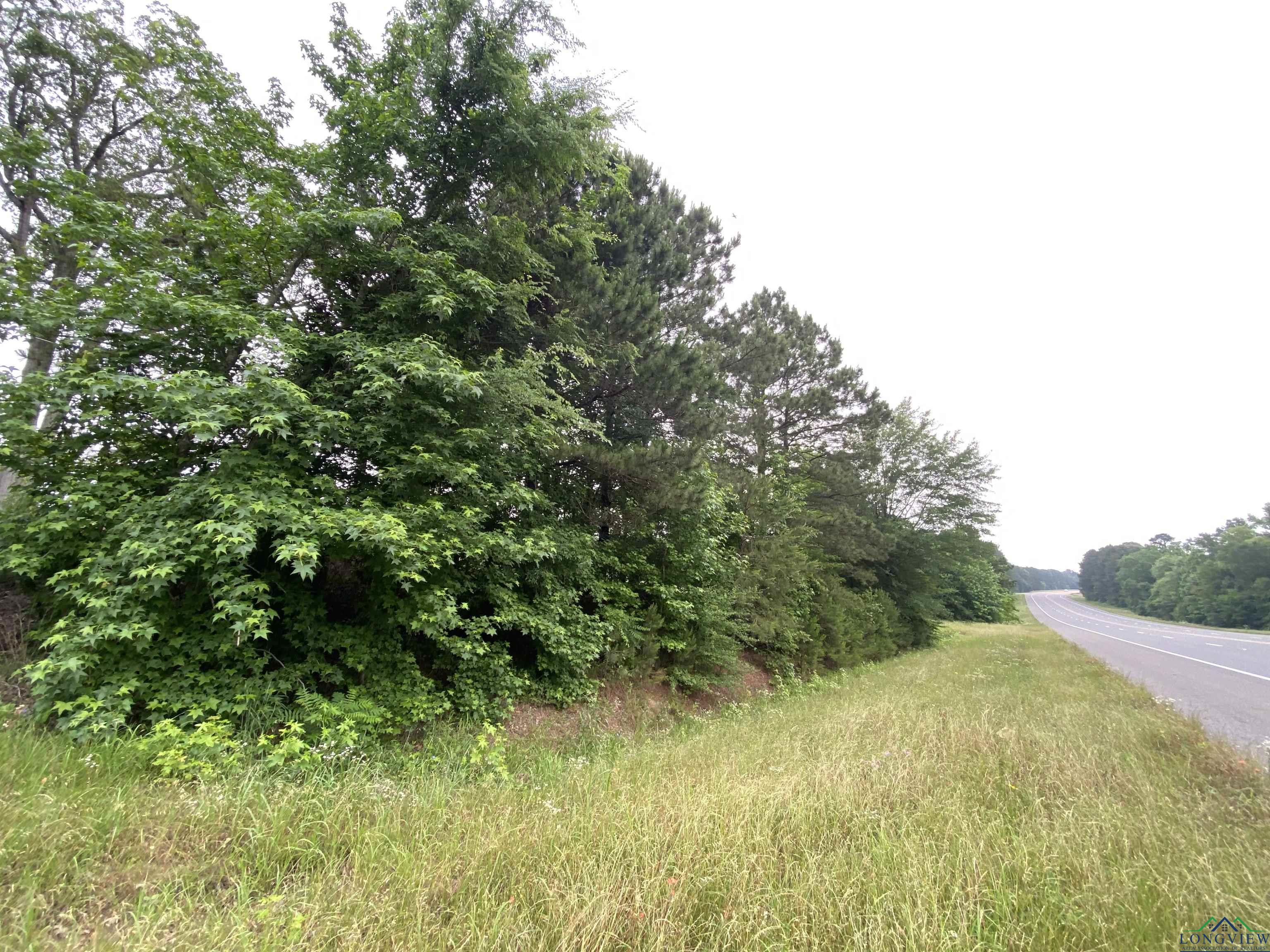 TBD N Us Hwy 259, Ore City, Texas image 18