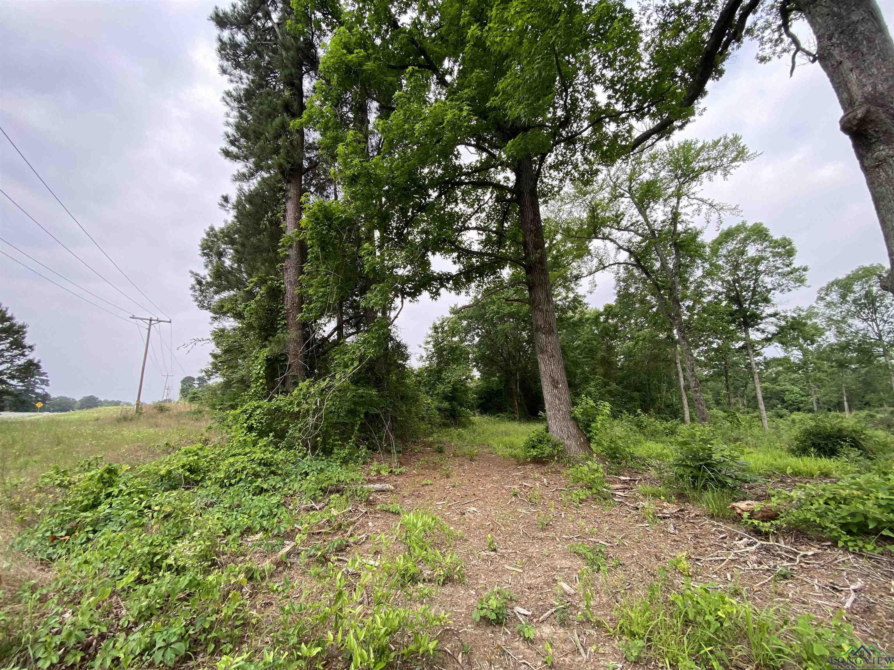 TBD N Us Hwy 259, Ore City, Texas image 9