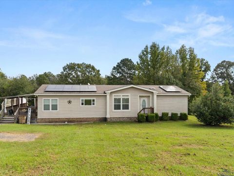 Homes For Sale - 109 Eagle Ridge<br/> Upshur County, Diana, TX 75640