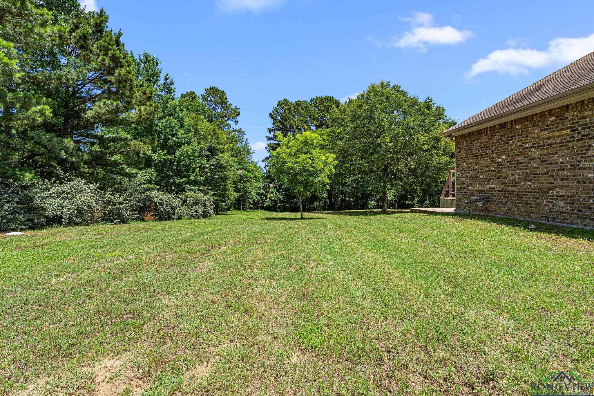 12265 Sable Ln, Whitehouse, Texas image 43