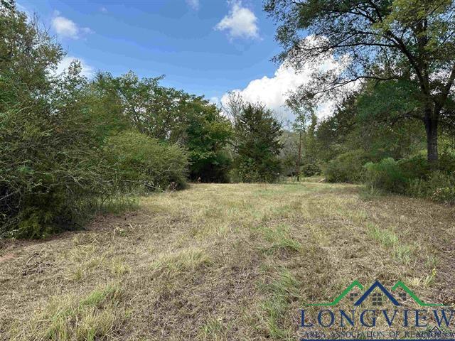 TBD Fm 838 (+/- 5.65ac), Overton, Texas image 12