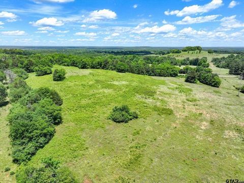 Vacant Land For Sale - TBD Cr 2493<br/> Bullard, TX 75757