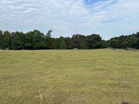 Vacant Land For Sale - TBD County Road 165<br/> Long Branch, TX 75669