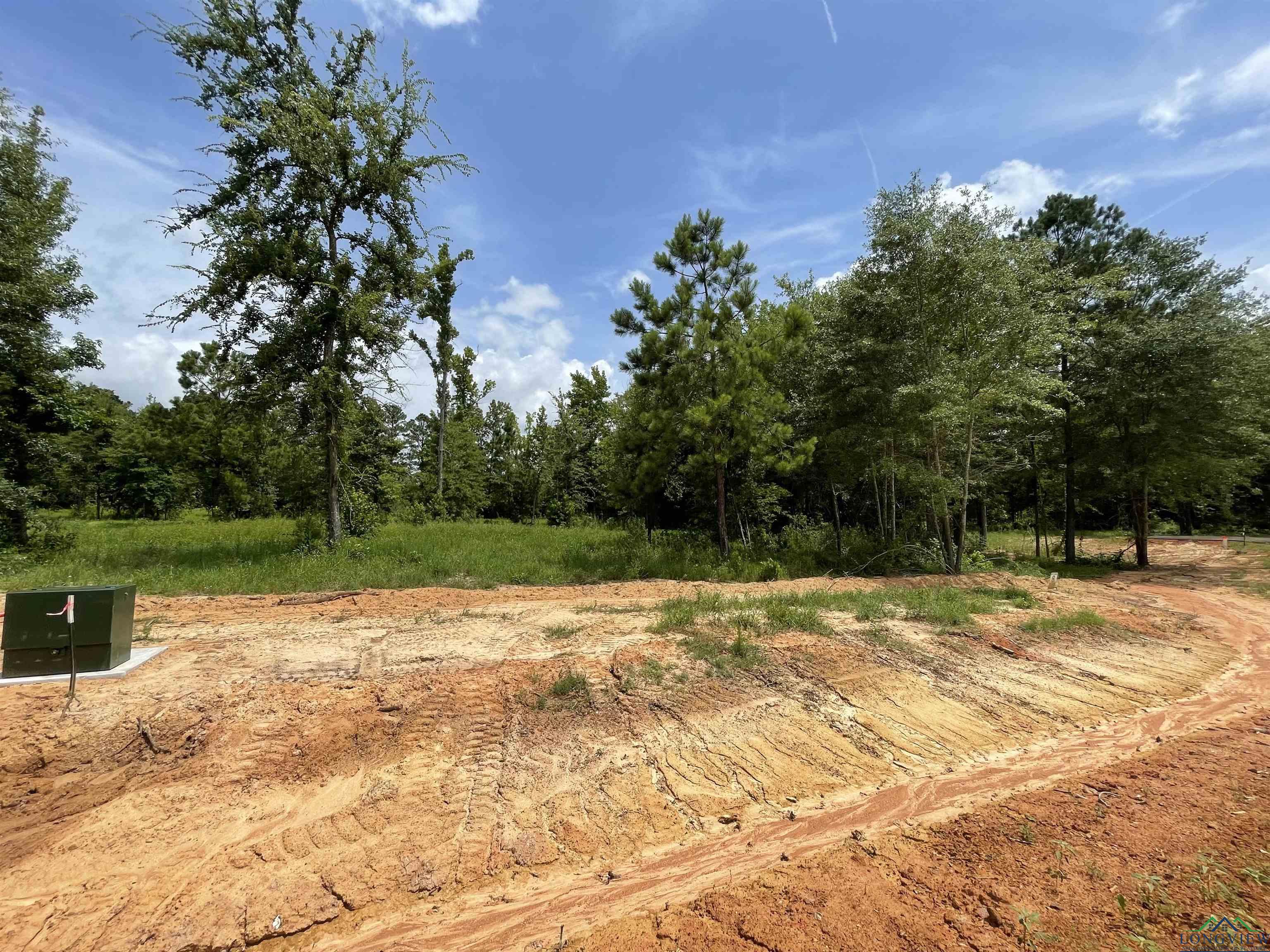 TBD Cr 2160 D, Phase 2, Lot 8, Tatum, Texas image 1