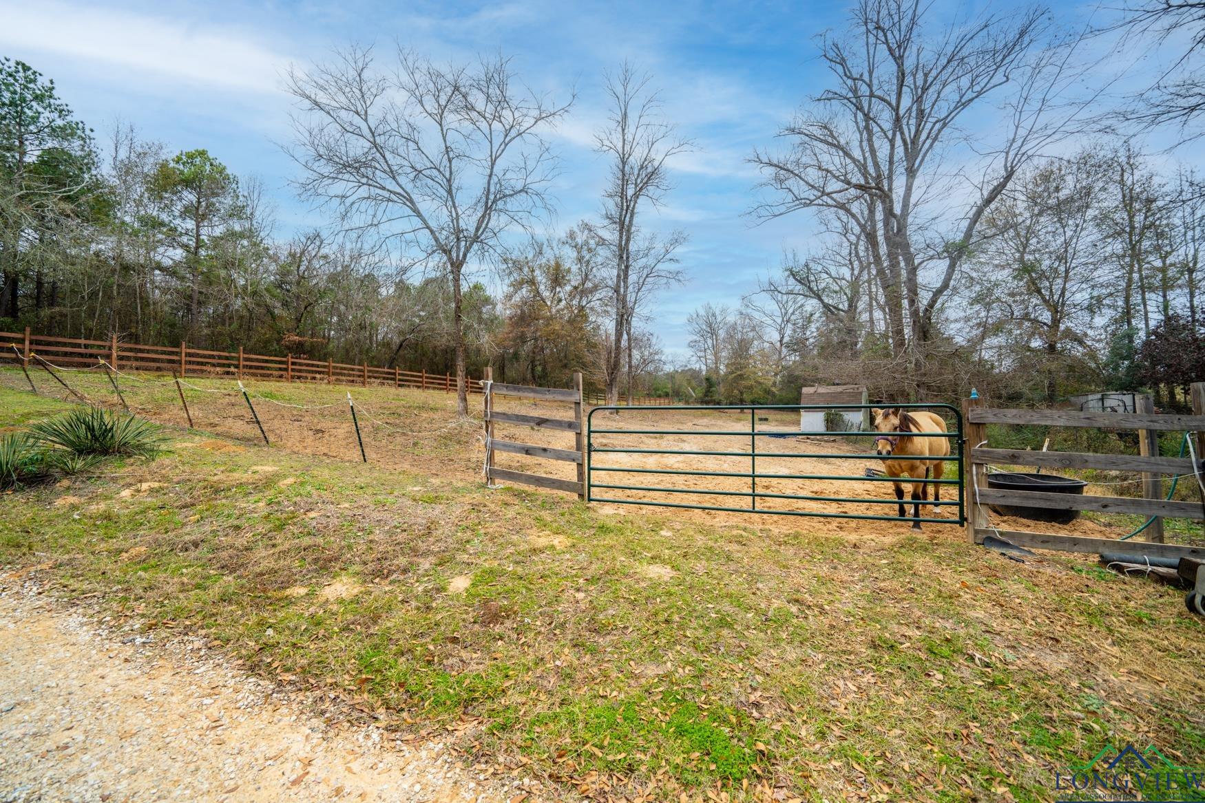 2394 Hickey Rd, Hallsville, Texas image 28