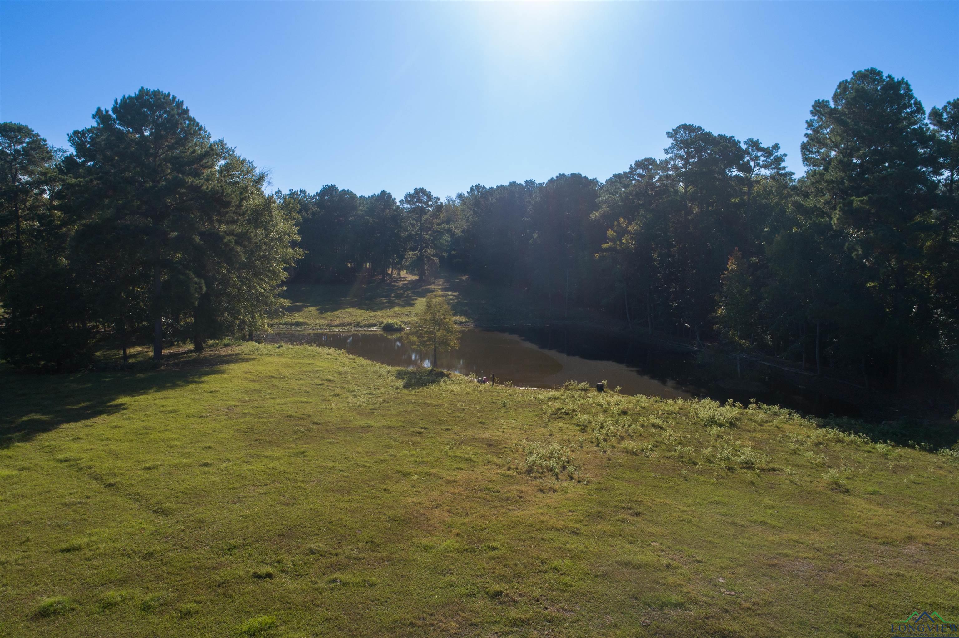 1770 Buchanan Rd, Hallsville, Texas image 21