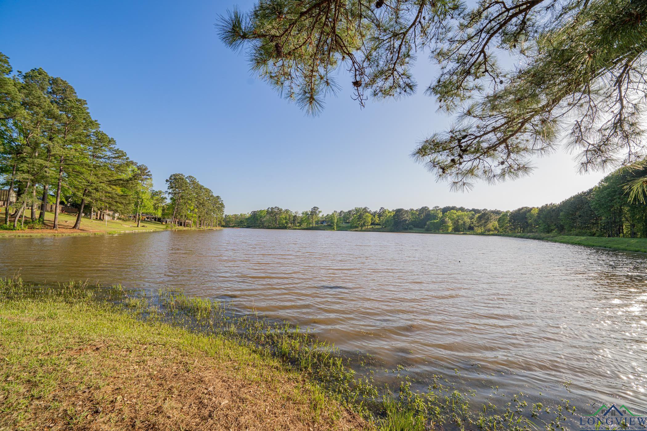 316 County Road 2750, Hughes Springs, Texas image 38