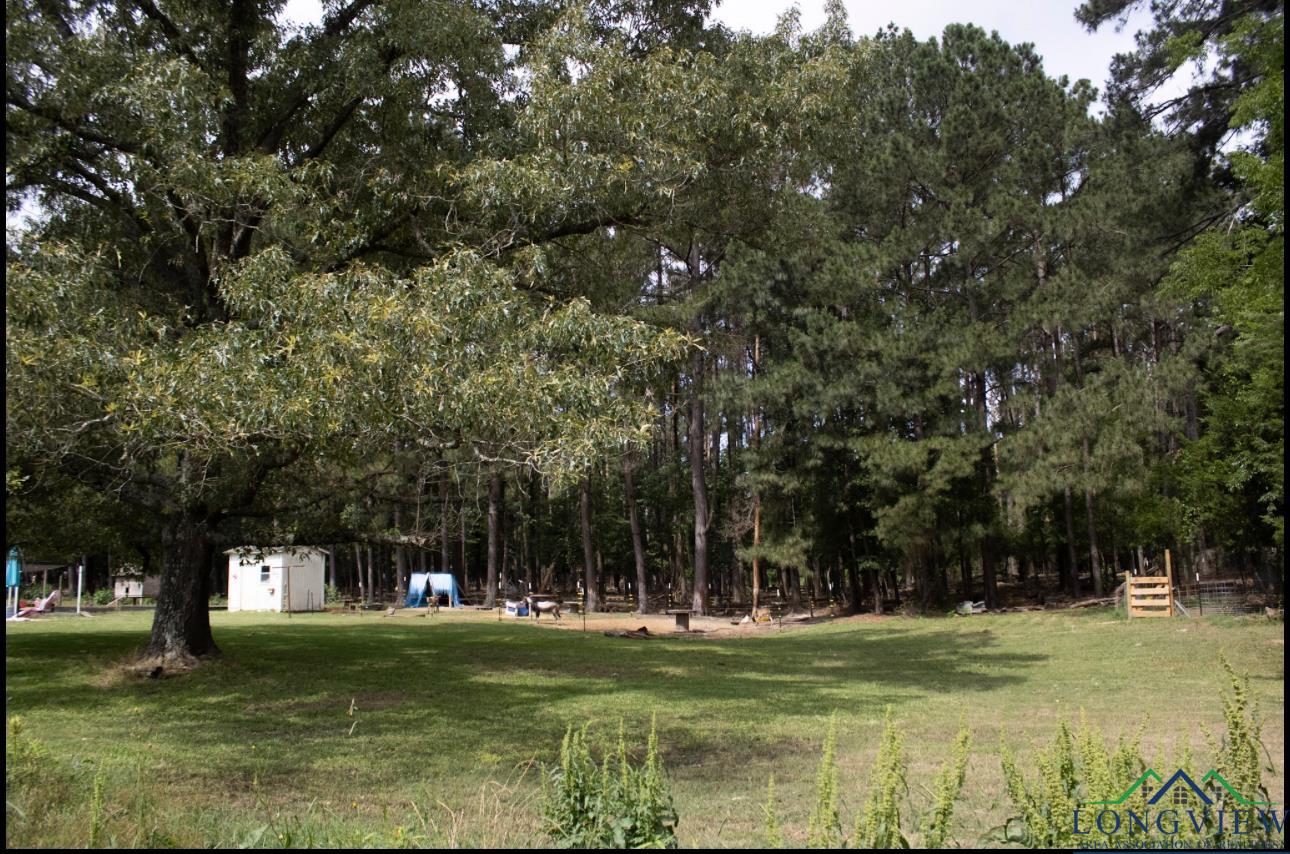 447 Berea 3, Jefferson, Texas image 9