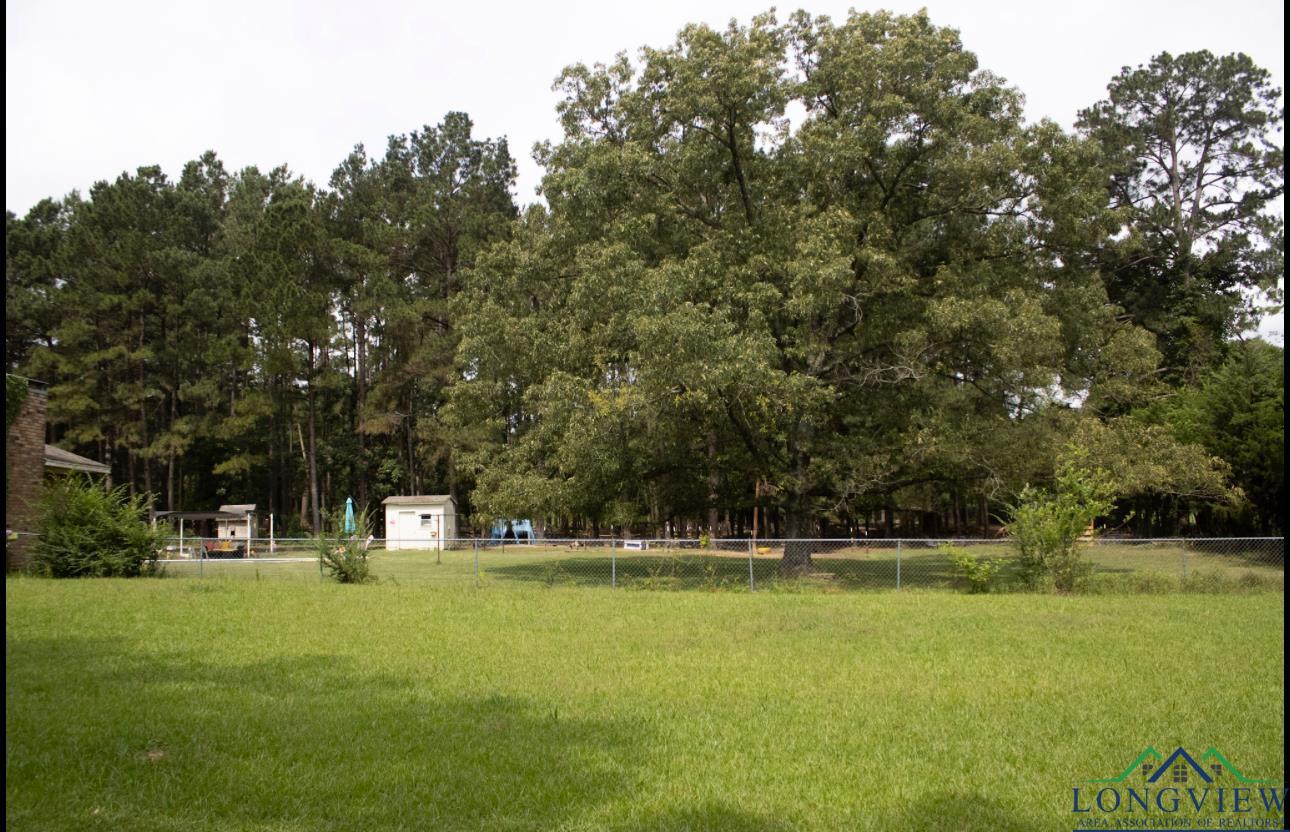 447 Berea 3, Jefferson, Texas image 19