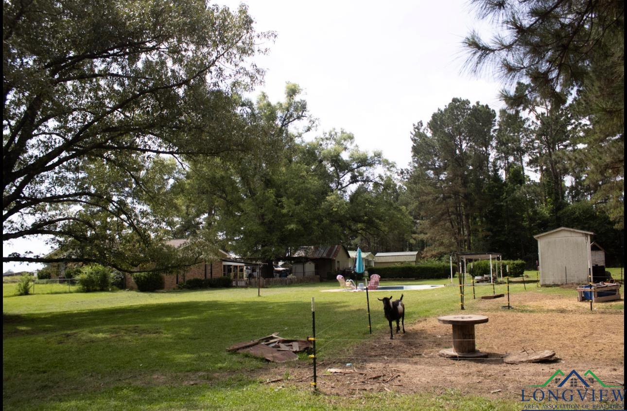 447 Berea 3, Jefferson, Texas image 13