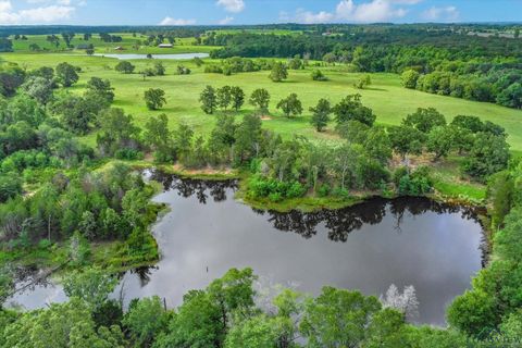 Vacant Land For Sale - 100+/- ACRES Fm 773<br/> Grand Saline, TX 75140
