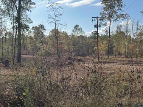 Vacant Land For Sale - LOT 2 TBD Cr 4108<br/> Rusk County, Henderson, TX 75654