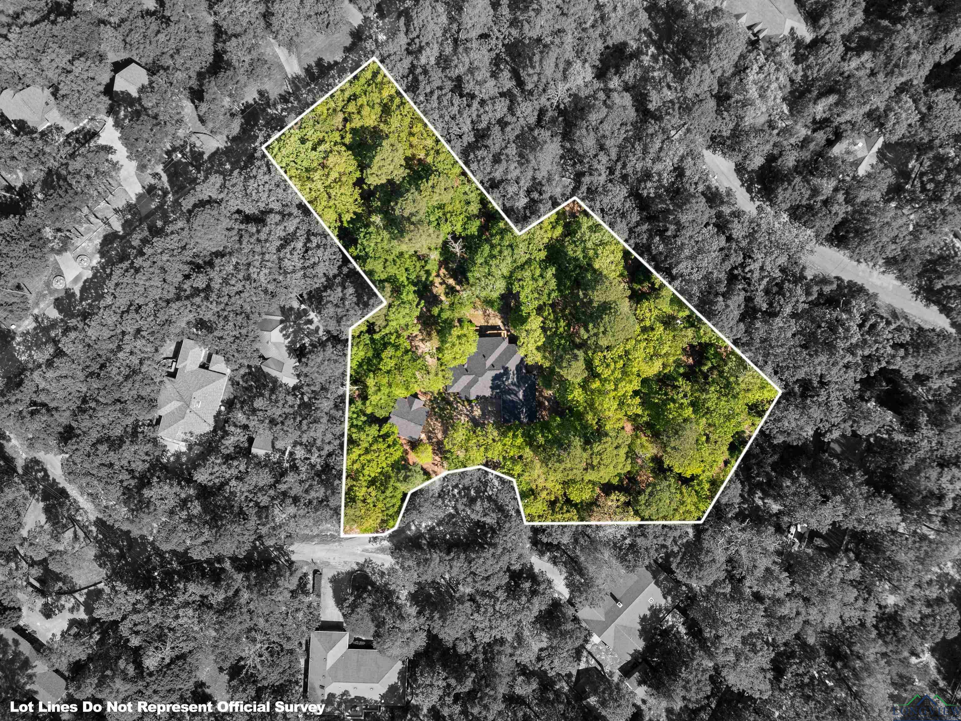 177 Paint Rock Point, Holly Lake Ranch, Texas image 27