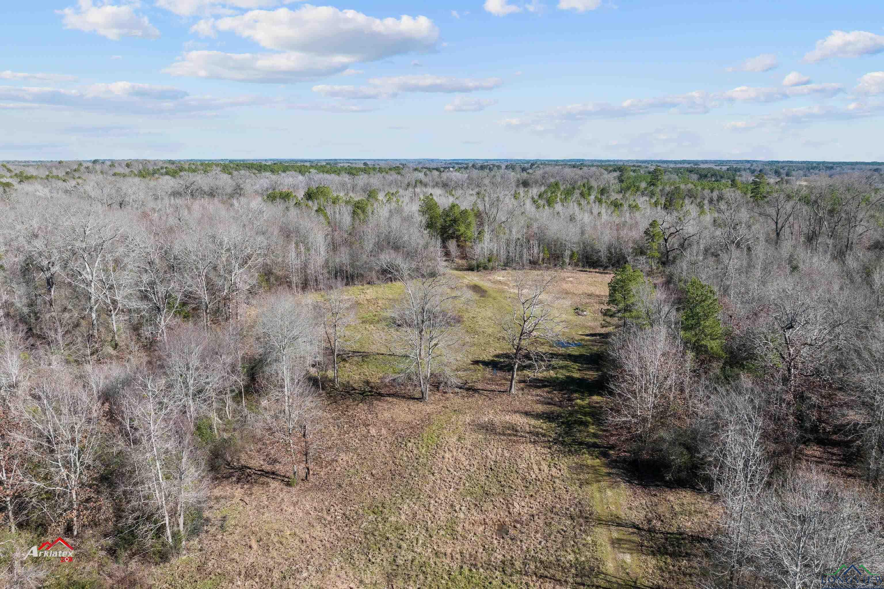 Tbd 1798, Henderson, Texas image 10