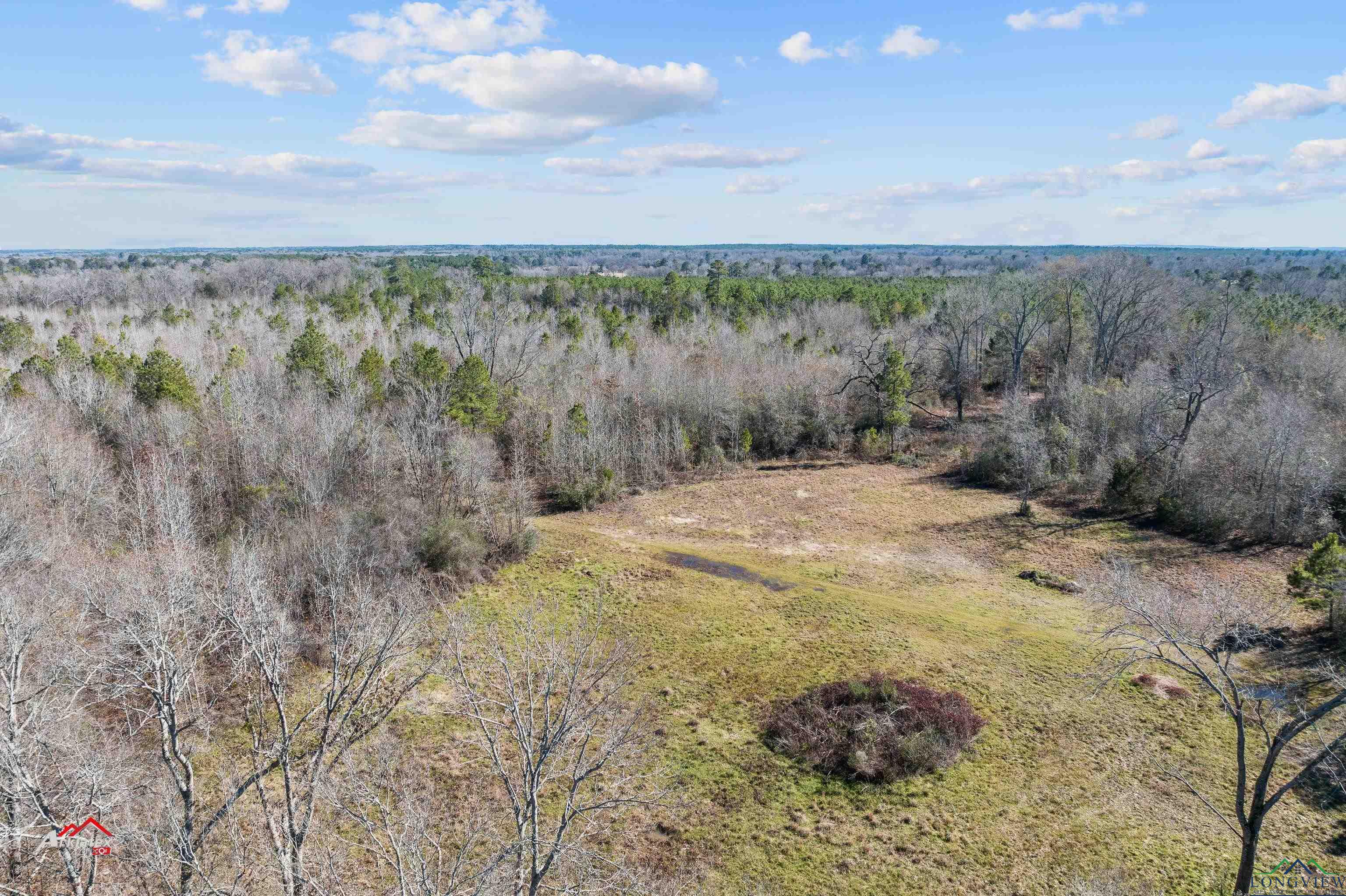 Tbd 1798, Henderson, Texas image 11