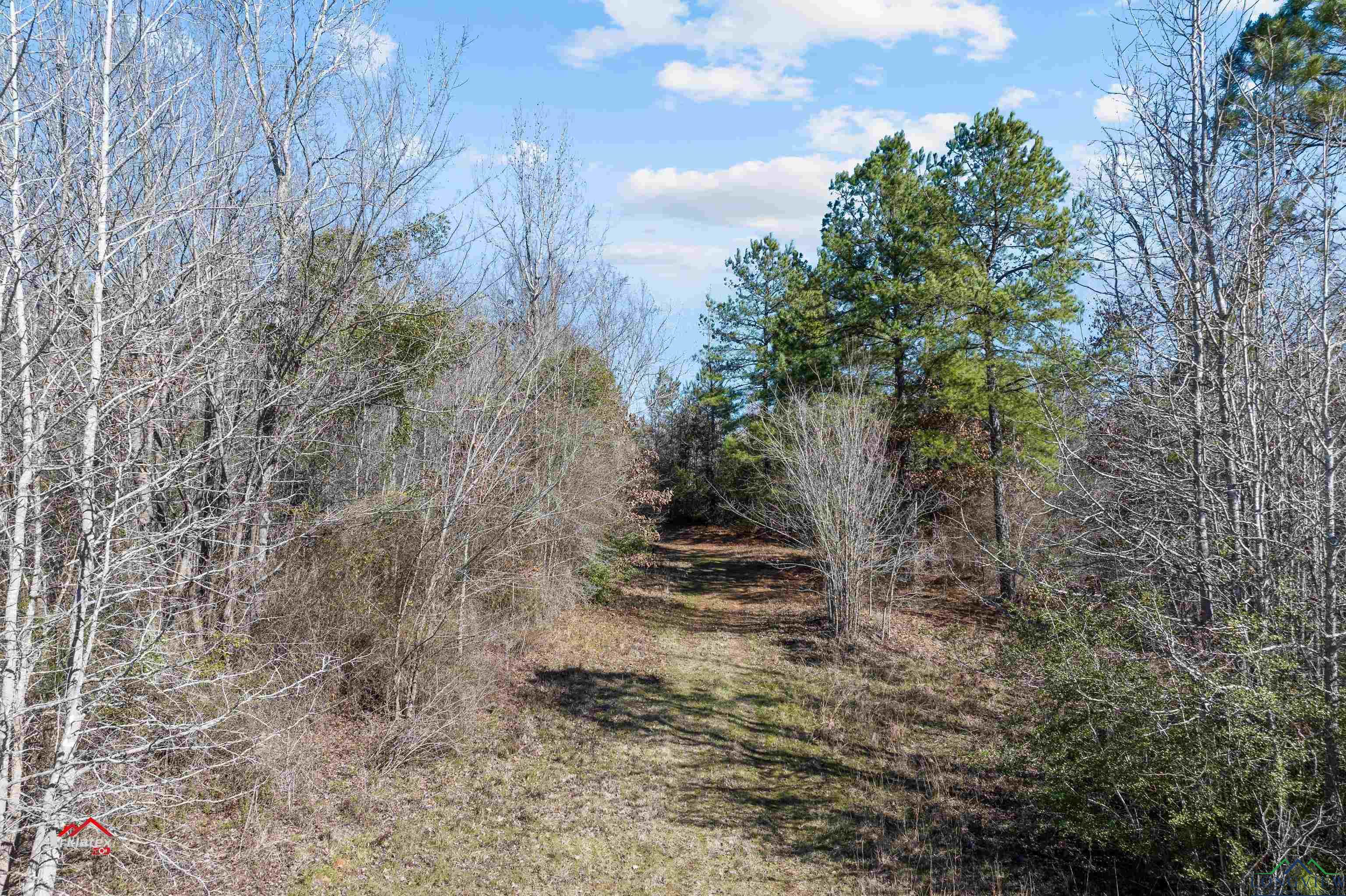 Tbd 1798, Henderson, Texas image 13