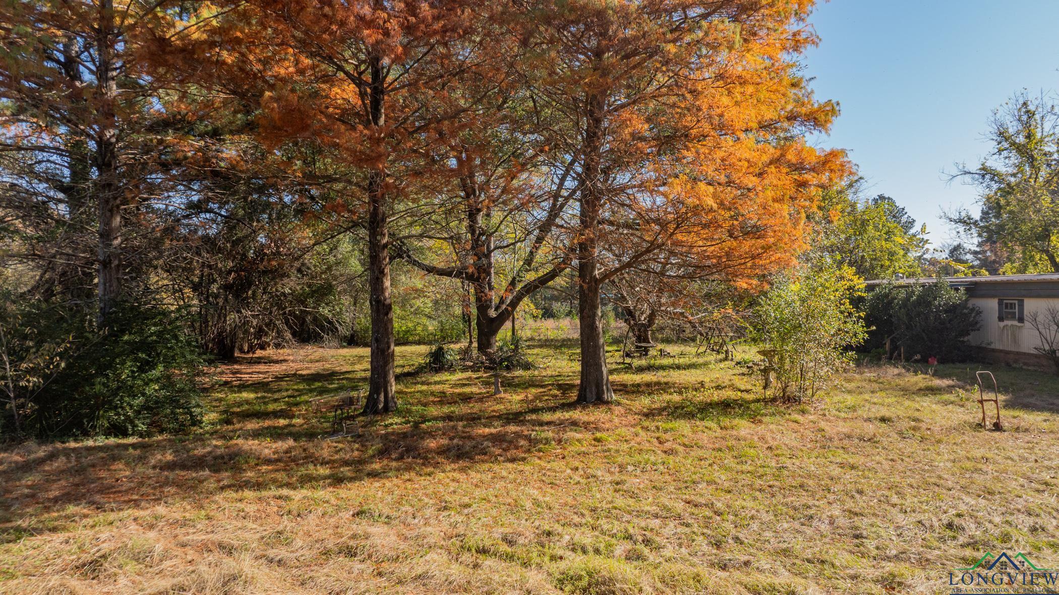 TBD S Hwy 31 Avenue, Kilgore, Texas image 18