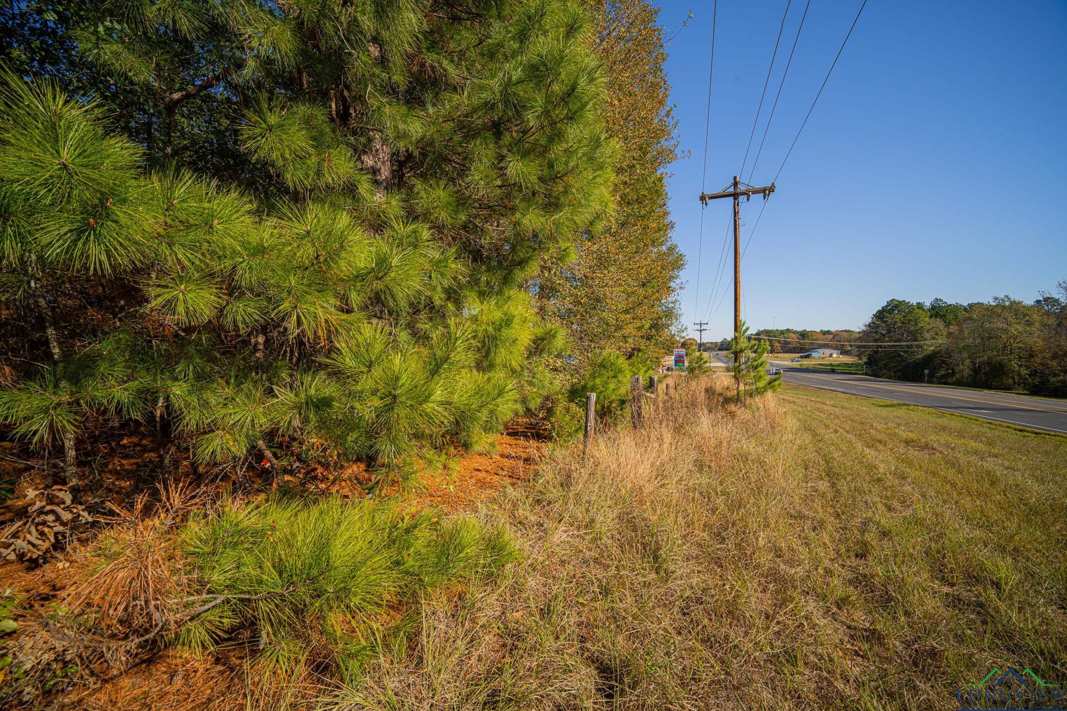 TBD S Hwy 31 Avenue, Kilgore, Texas image 34