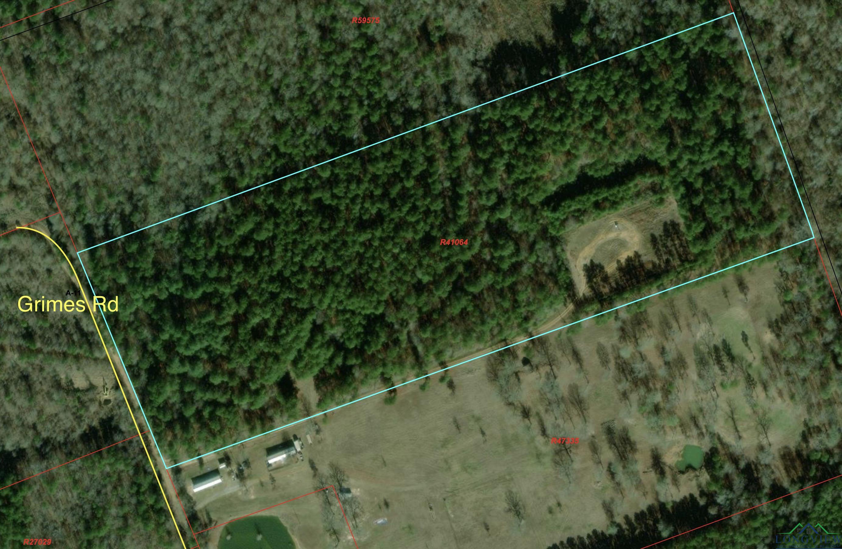 TBD Grimes Rd, Elysian Fields, Texas image 1