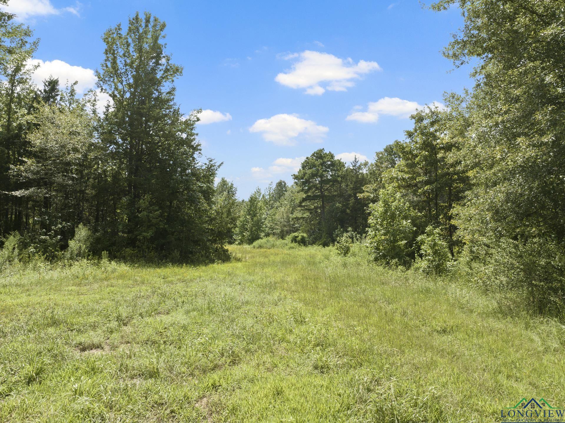 TBD Fm 556, Pittsburg, Texas image 8