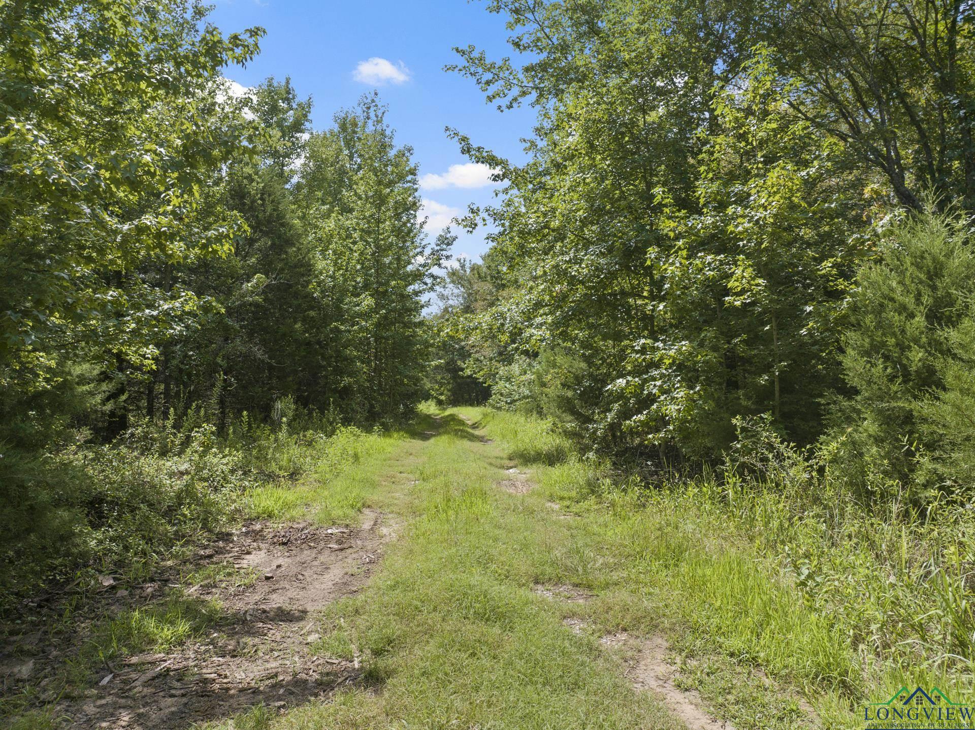 TBD Fm 556, Pittsburg, Texas image 1