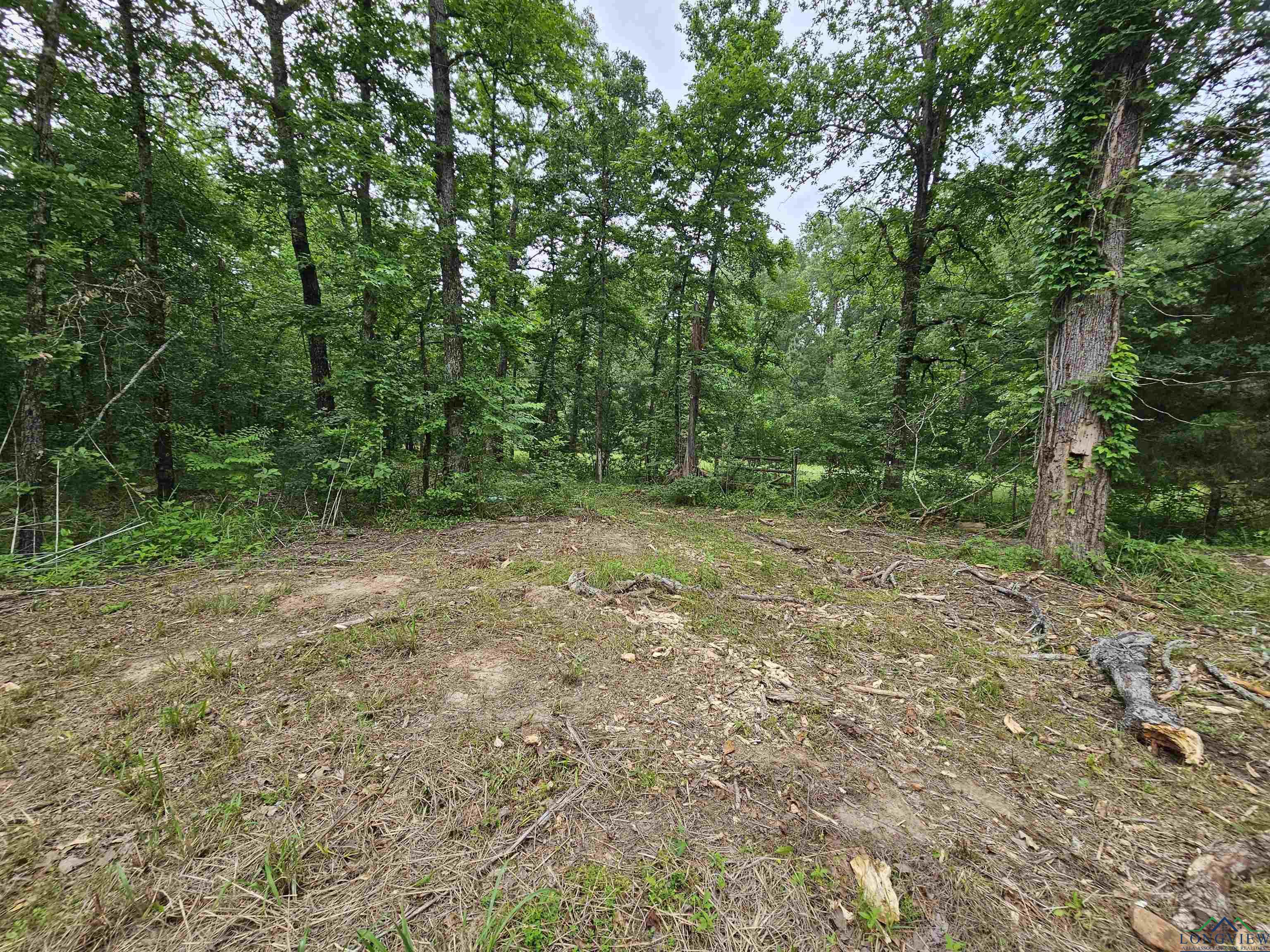 811 Hallsville Heights, Longview, Texas image 1