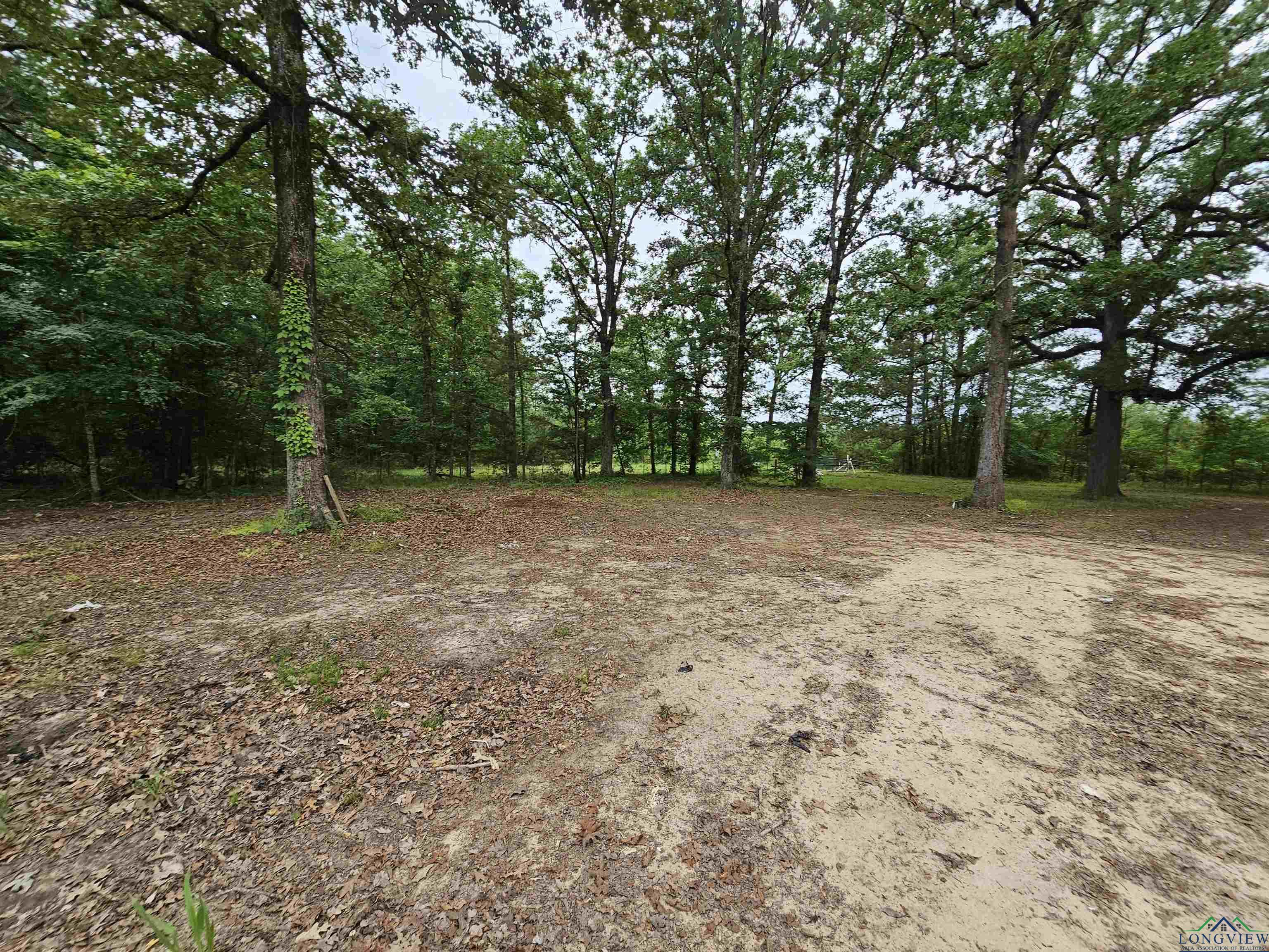 811 Hallsville Heights, Longview, Texas image 10