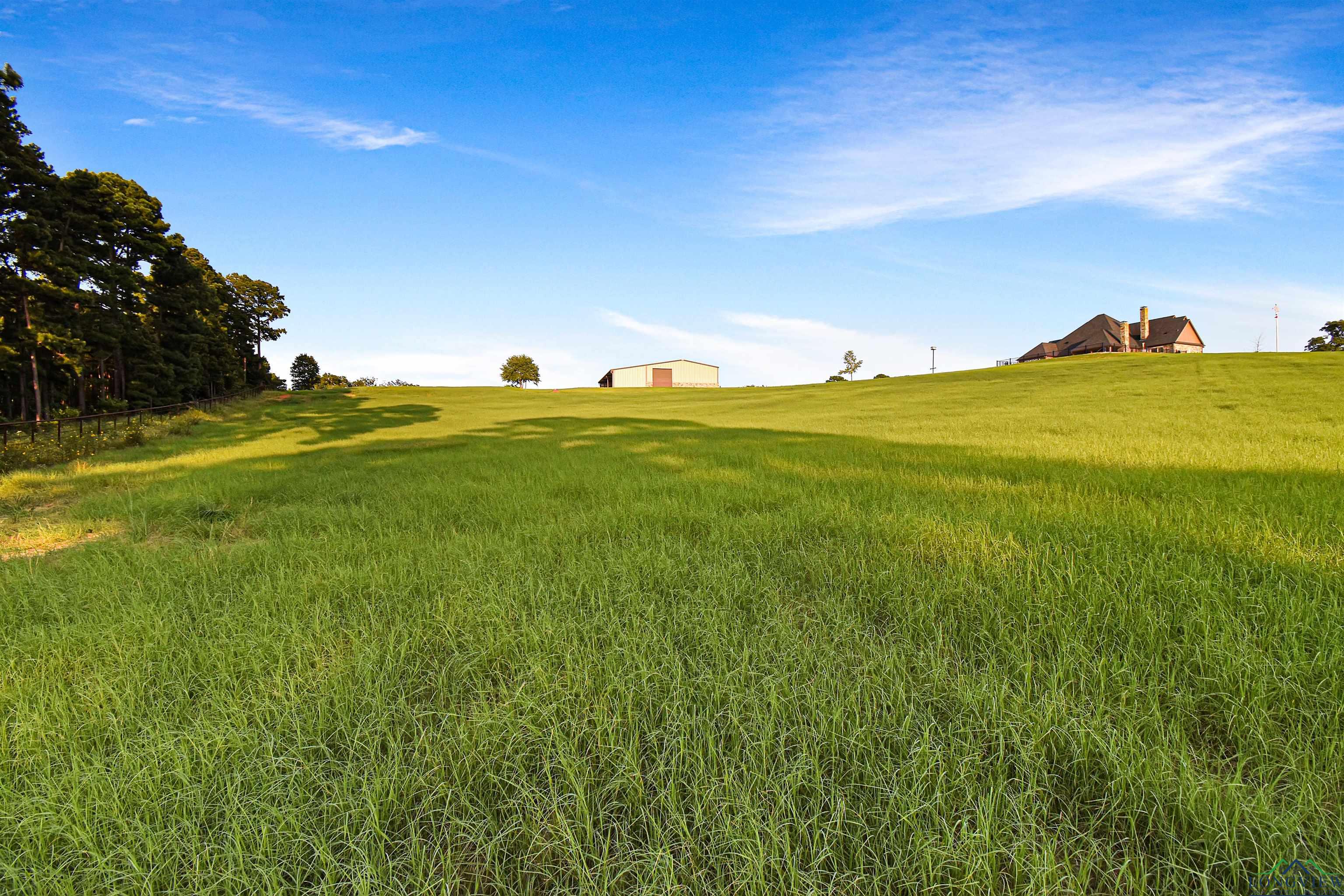 13096 Honey Poo Lane, Brownsboro, Texas image 41