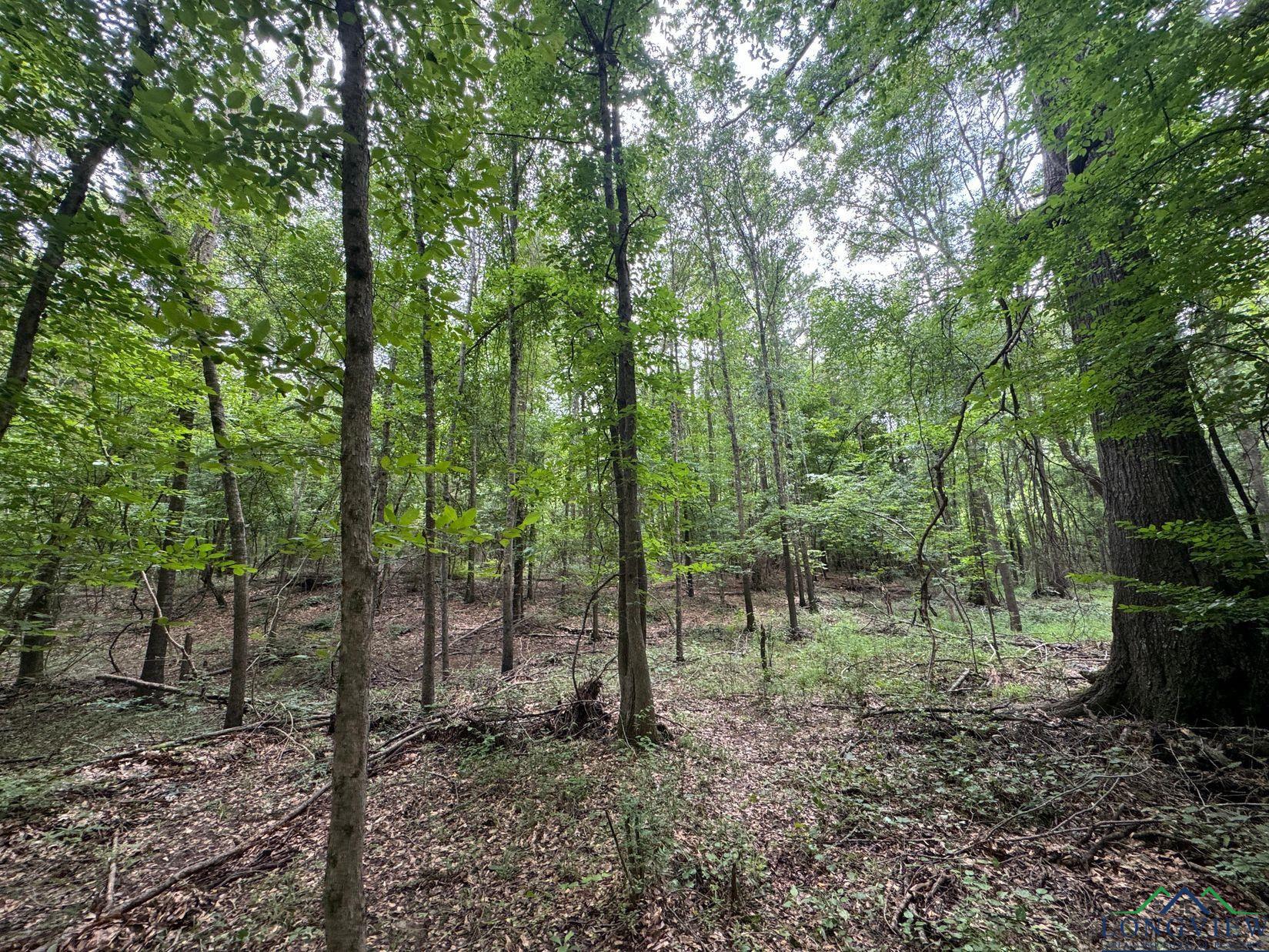 0001 Fm 805, Jefferson, Texas image 3