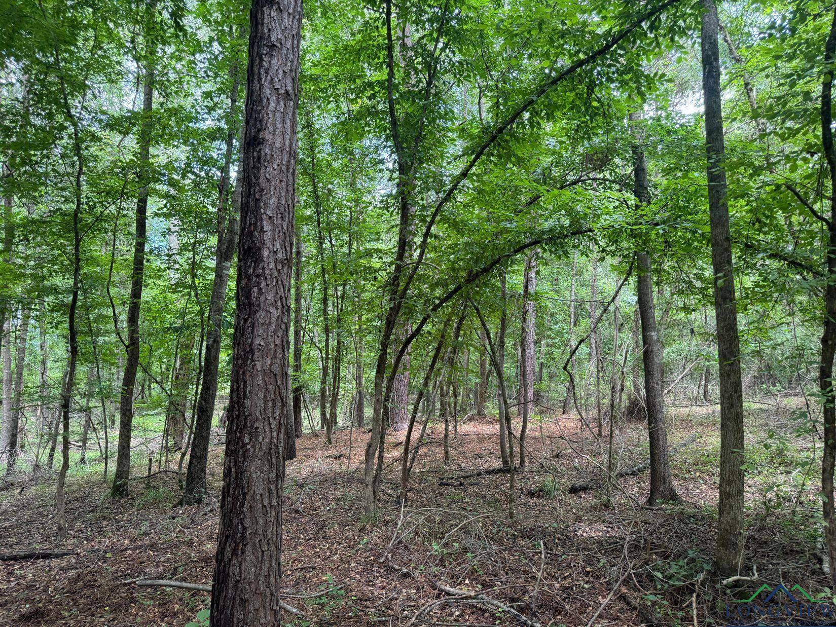 0001 Fm 805, Jefferson, Texas image 7
