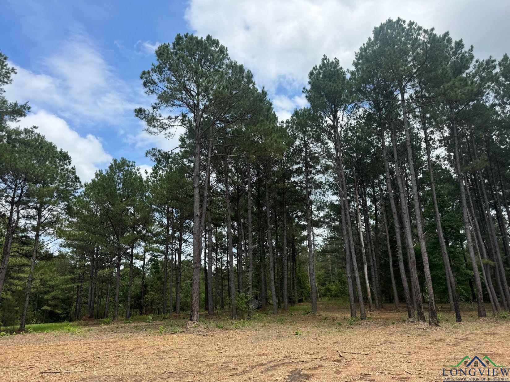 0001 Fm 805, Jefferson, Texas image 8
