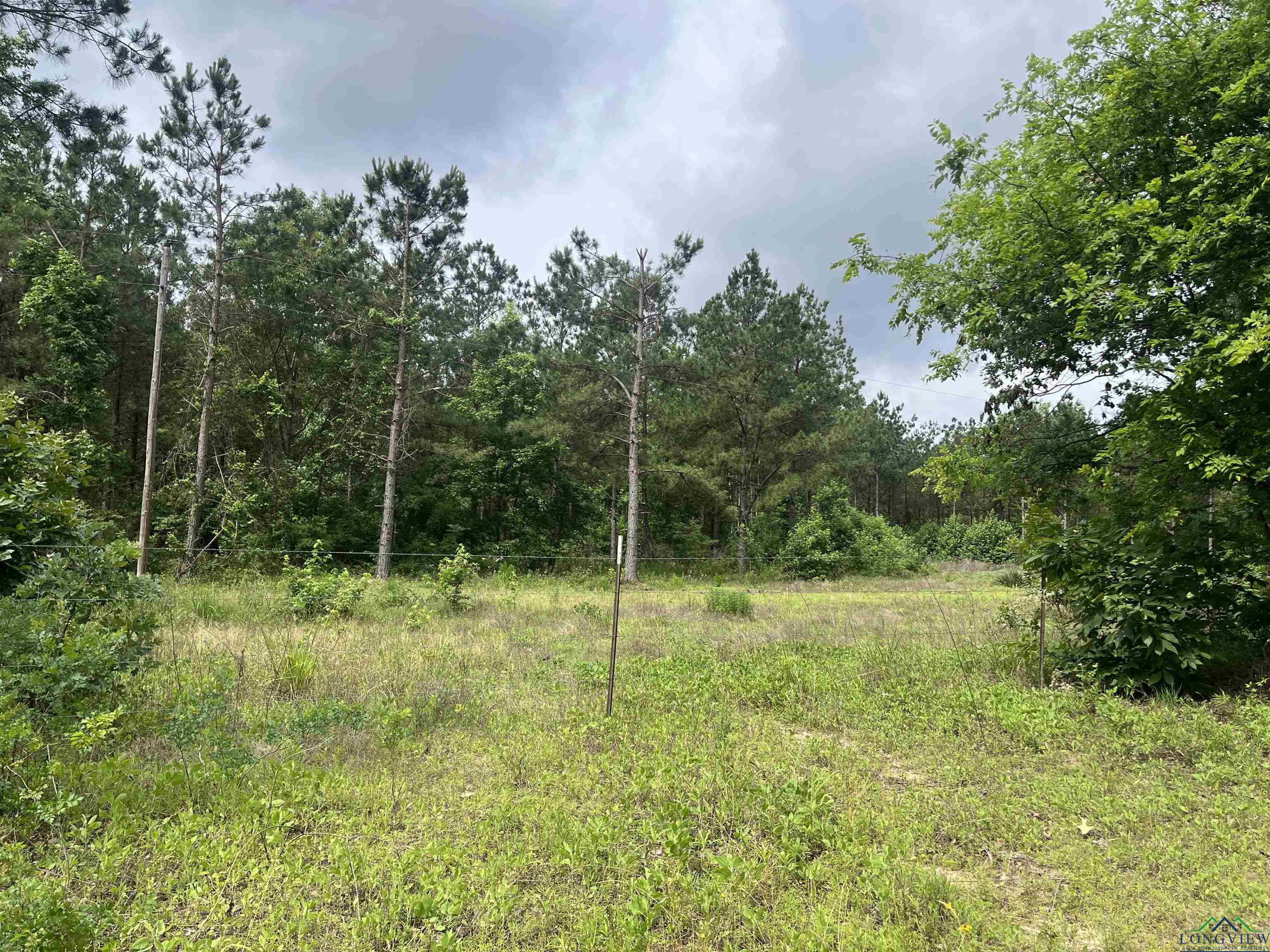 TBD Trinity Rd, Jefferson, Texas image 1