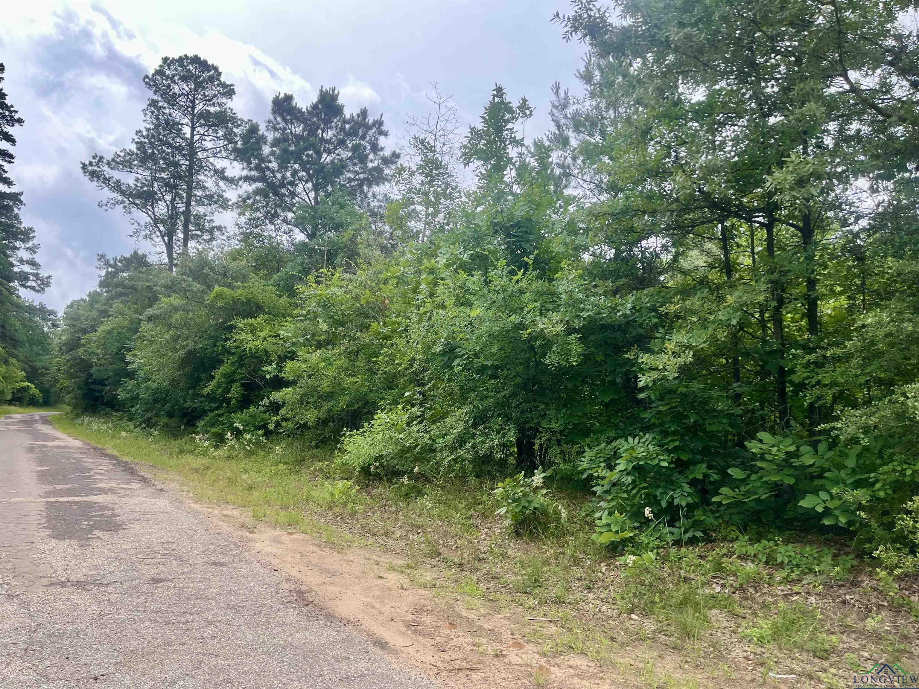 TBD Trinity Rd, Jefferson, Texas image 3