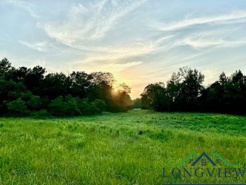 Vacant Land For Sale - N Fm 1002 E<br/> Winnsboro, TX 75494