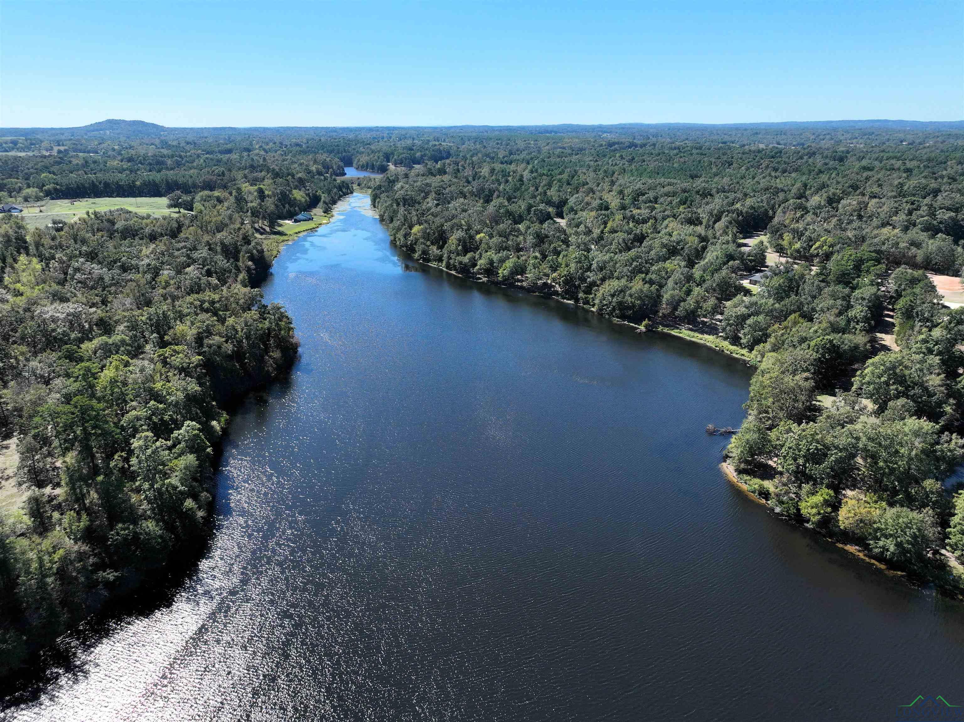 Lot 4 Block 3 John Dean Road, Gilmer, Texas image 8