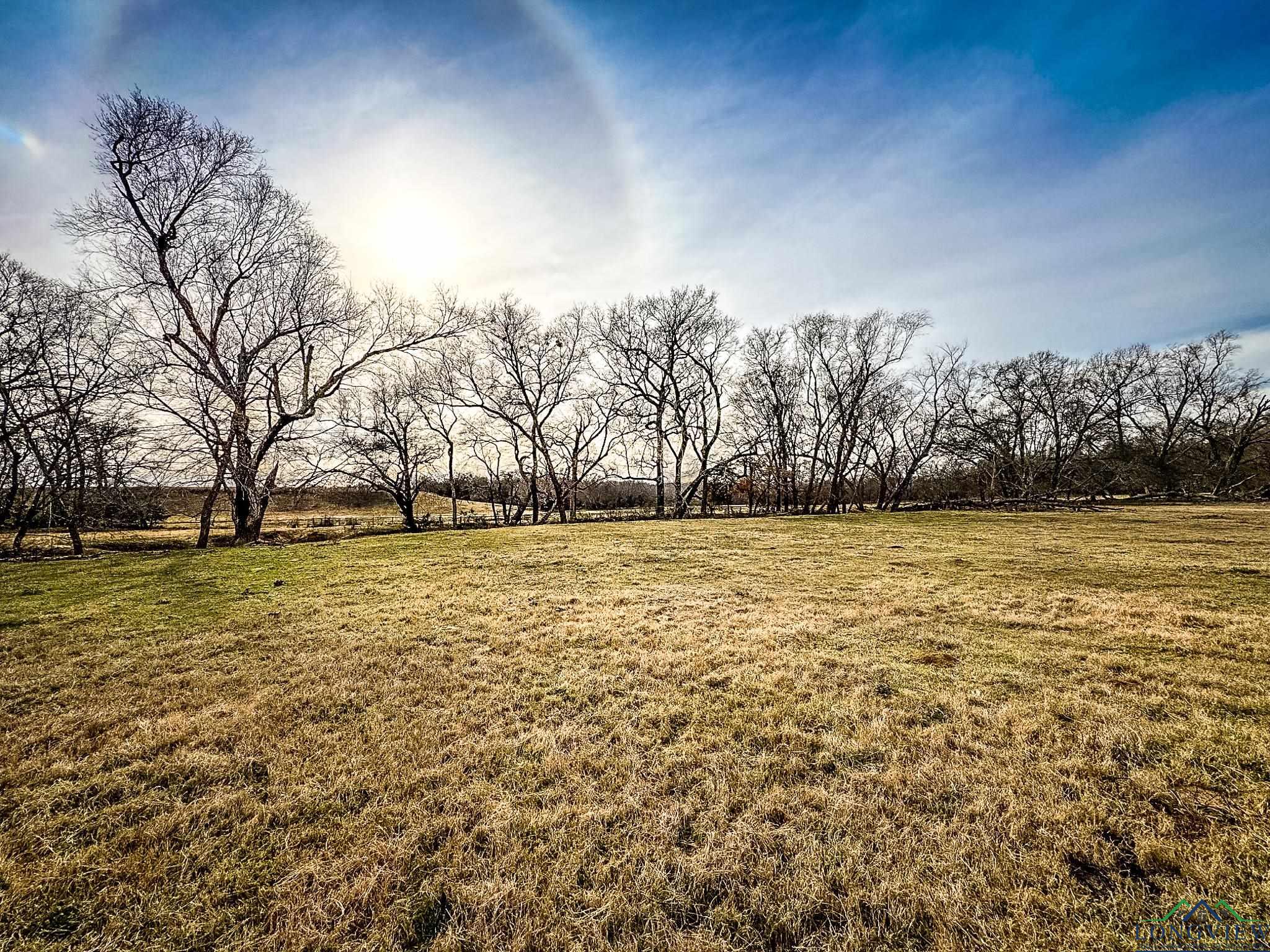 65 AC Cr 246, Arp, Texas image 10