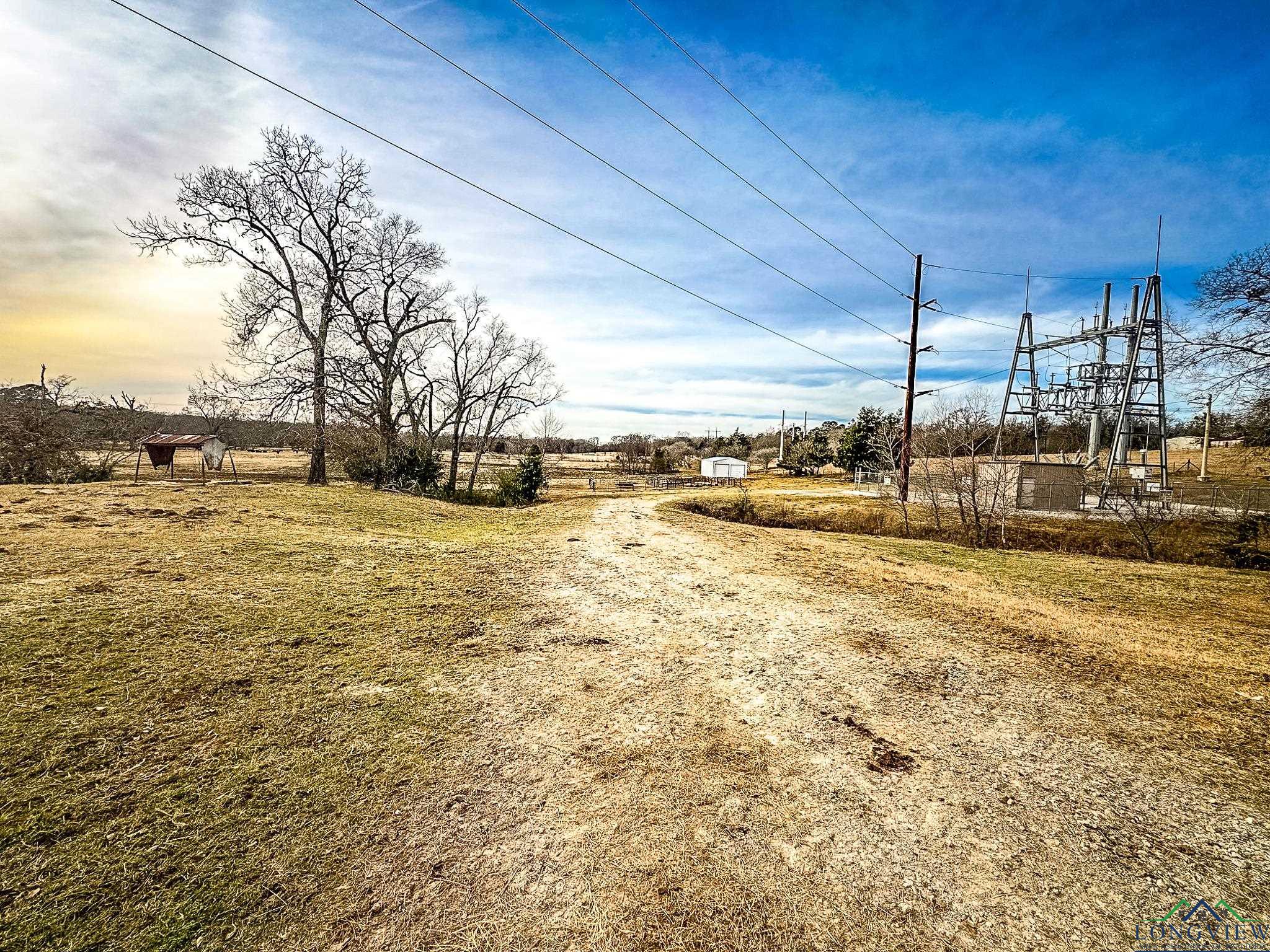 65 AC Cr 246, Arp, Texas image 11