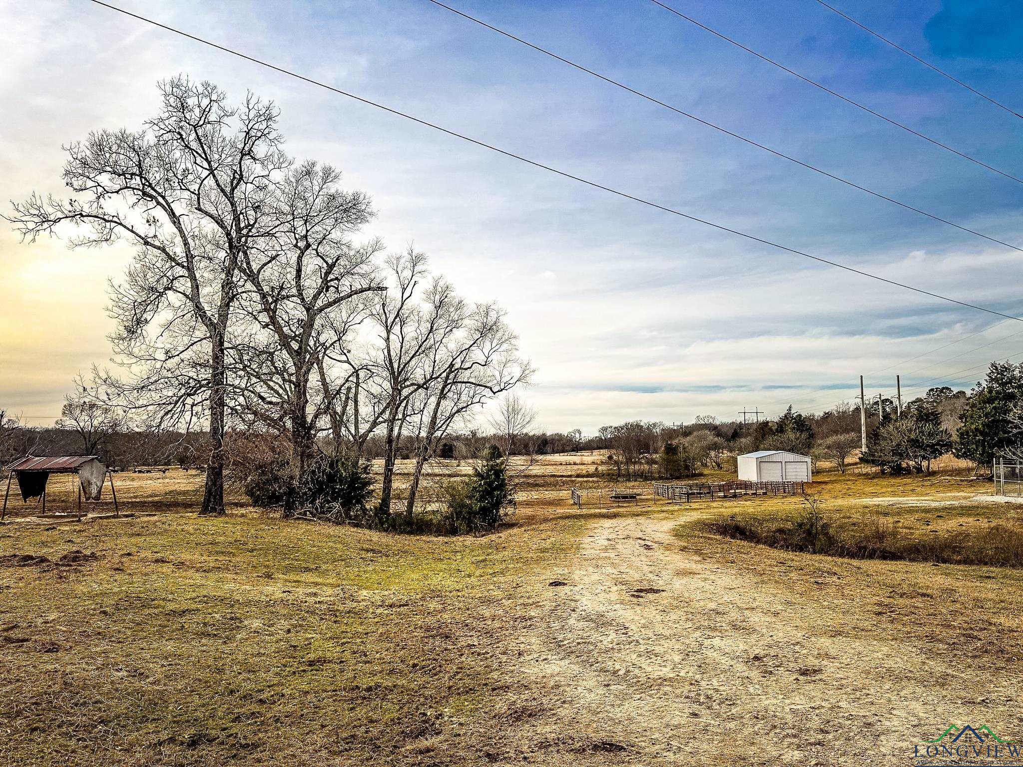 65 AC Cr 246, Arp, Texas image 13