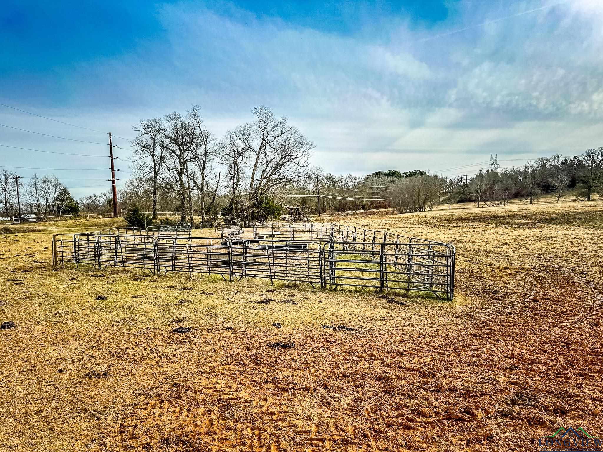 65 AC Cr 246, Arp, Texas image 5