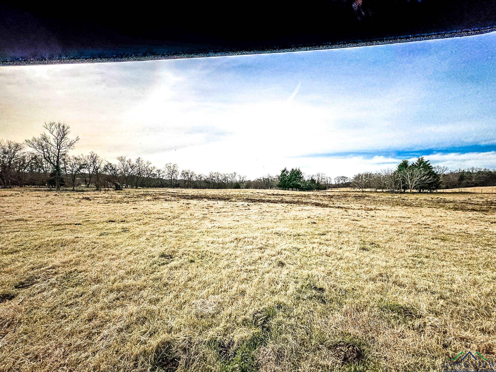 65 AC Cr 246, Arp, Texas image 7