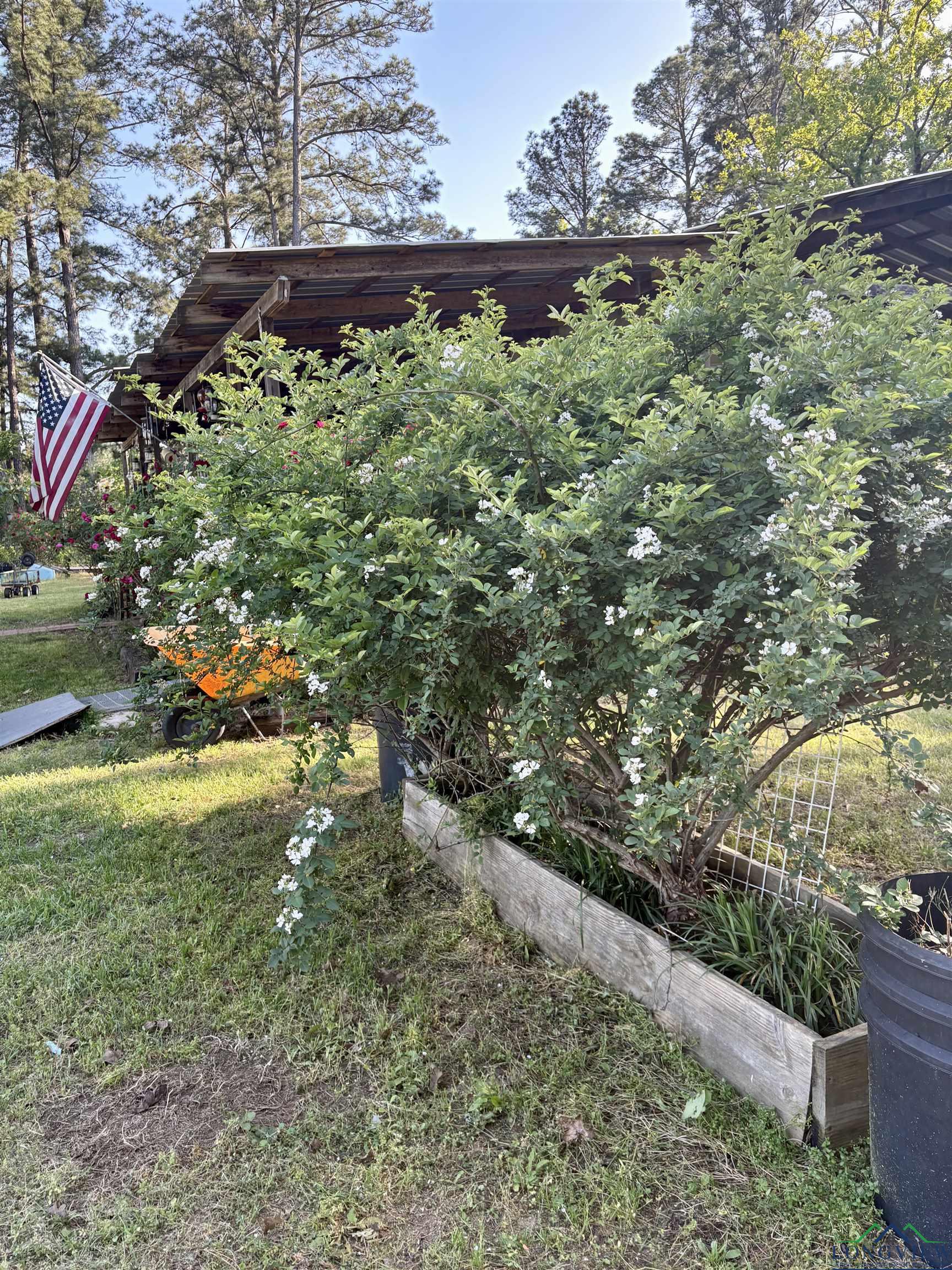 302 S Texas Hwy 42, Henderson, Texas image 18