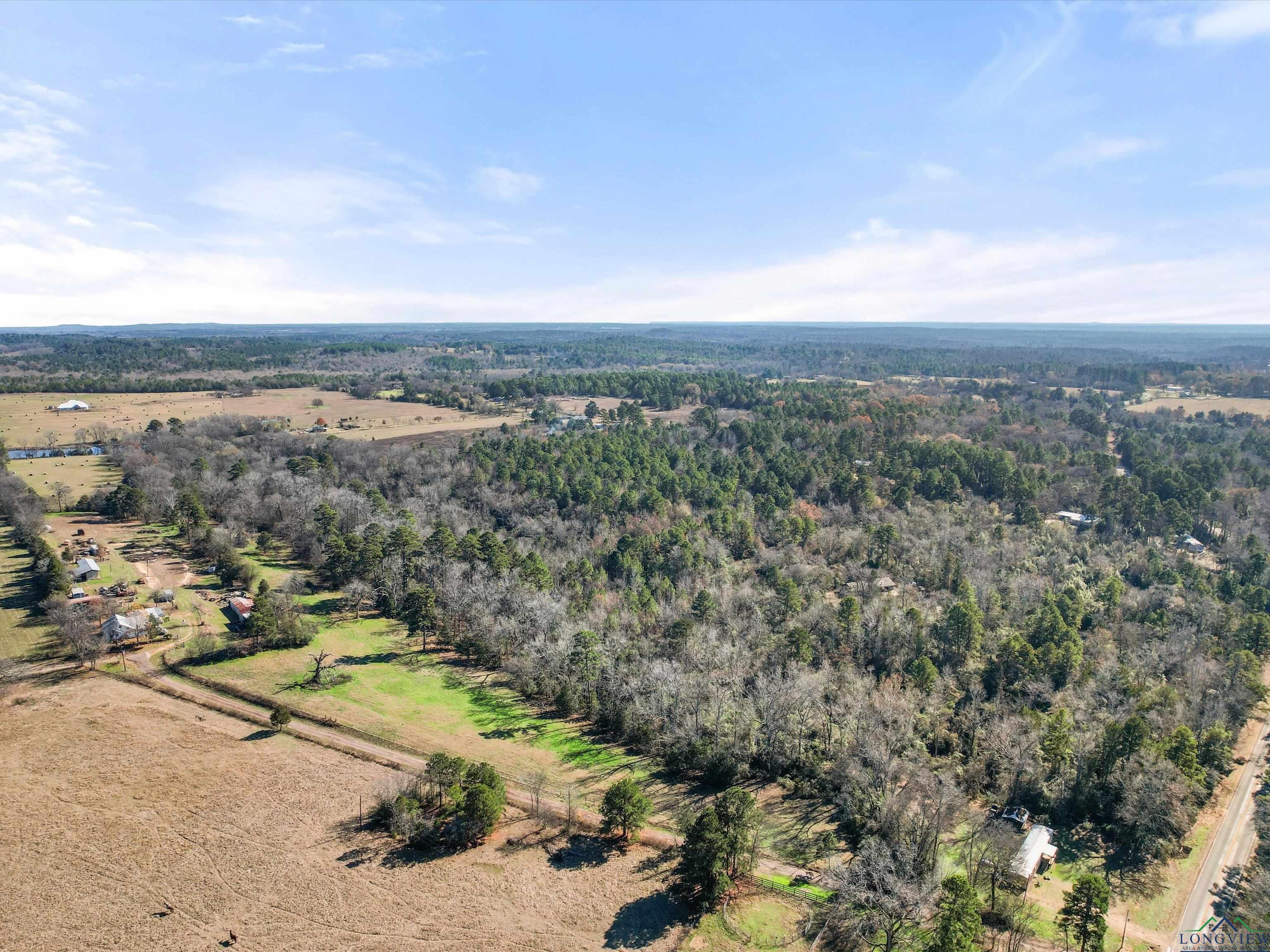 TBD Stegall, Big Sandy, Texas image 9