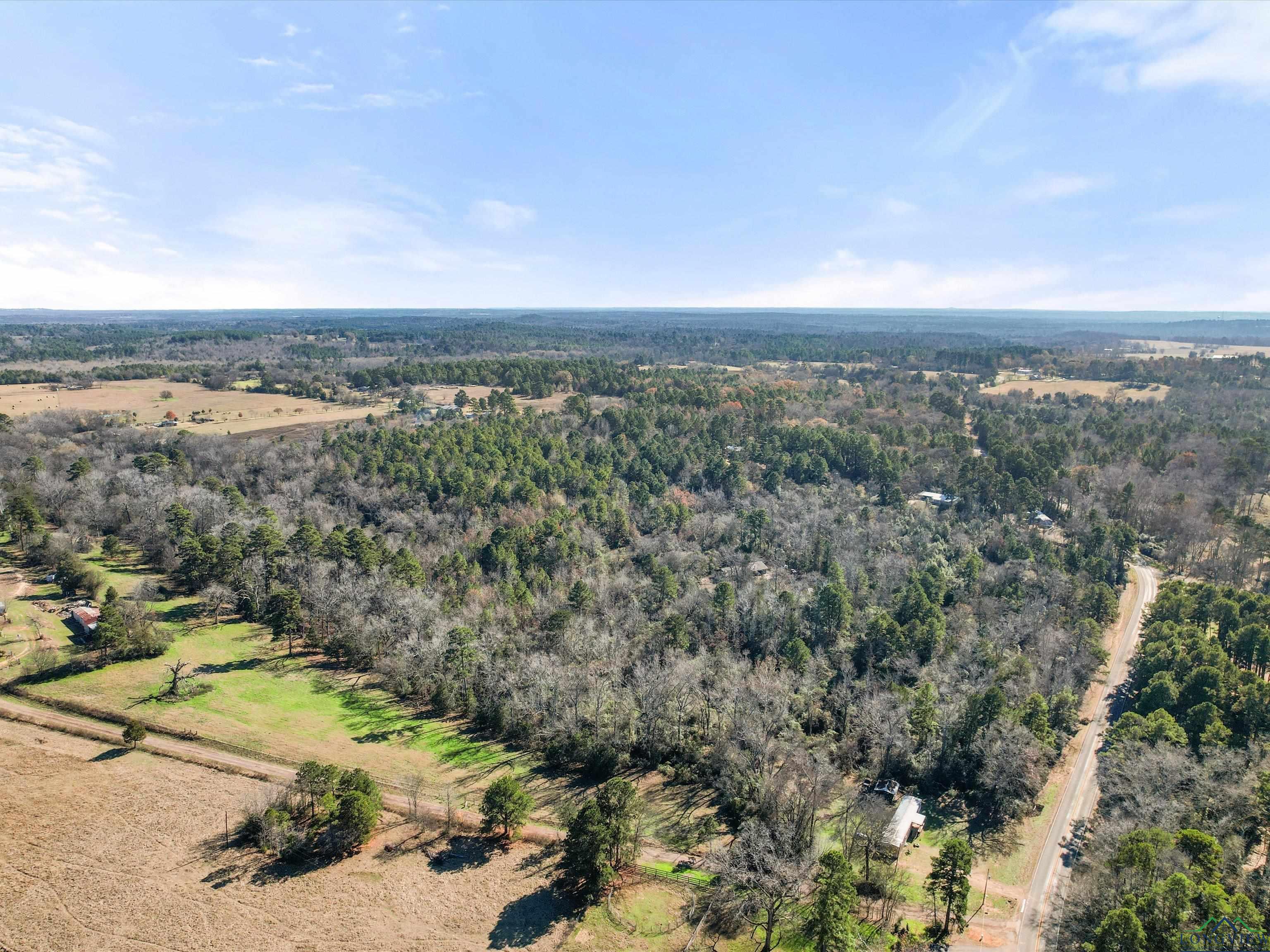 TBD Stegall, Big Sandy, Texas image 3